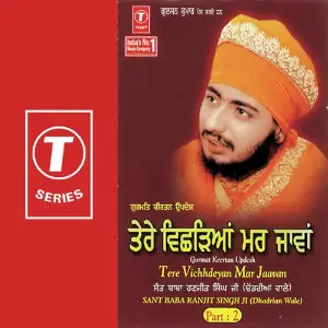 Tere Vichhdeyan Mar Jaawan (Part 2) image