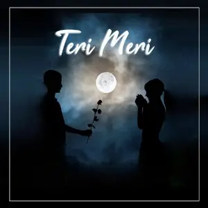 Teri Meri image