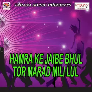 Hamra Ke Jaibe Bhul Tor Marad Mili Lul image