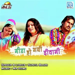 Meera Hogai Deewani image