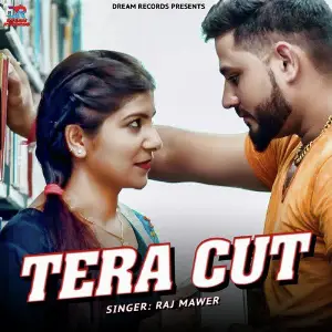 Tera Cut - Single image