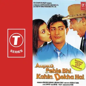 Aapko Pehle Bhi Kahin Dekha Ha Vinay, Nikhil-Vinay