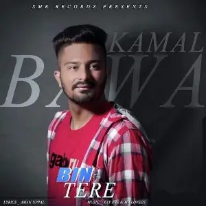 Bin Tere image