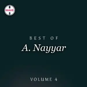 Best Of A. Nayyar, Vol. 4 image