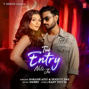 Tui Entry Nili Jei image