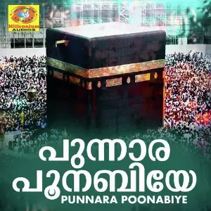 Punnara Poonabiye image