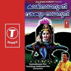 Kasinadhanum Nee Vadakkum Nadhanum Nee image