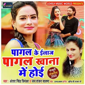 Pagal Ke Ilaj Pagal Khana Me Hoi image