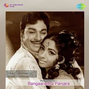 Bangaaradha Panjara image