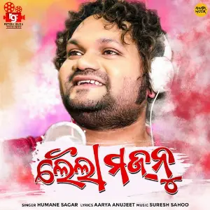 Laila Majnu image