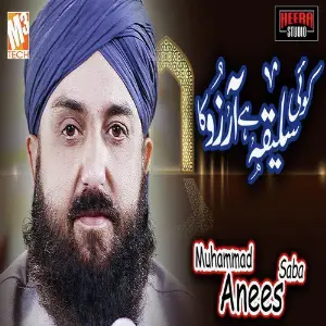Koi Saleeqa Hai Aarzo Ka - Single image