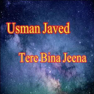 Tere Bina Jeena - Single image