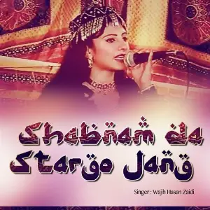 Shabnam Da Stargo Jang image