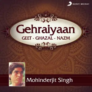 Gehraiyaan image