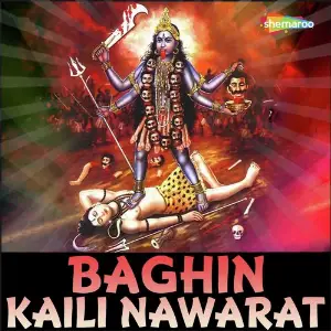 Baghin Kaili Nawarat image