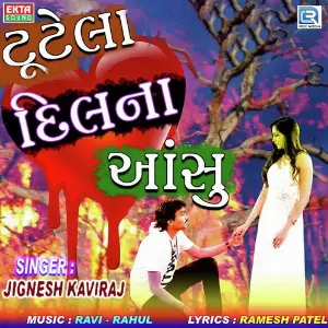 Maro Bheru Jignesh Kaviraj