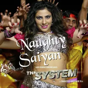 Naughty Saiyyan (From The System) - Single image