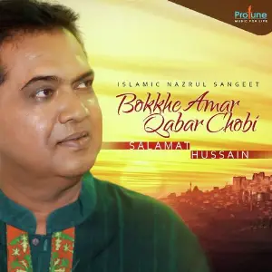 Bokkhe Amar Qabar Chobi image
