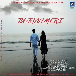 Tu Jaan Meri image