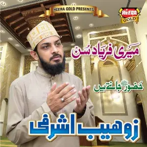 Meri Faryad Sun image