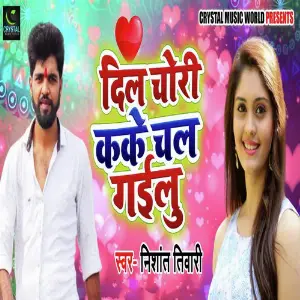 Dil Chori Kake Chal Gailu image