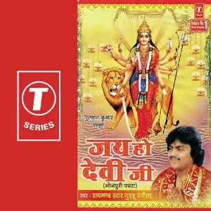 Jai Ho Devi Ji image