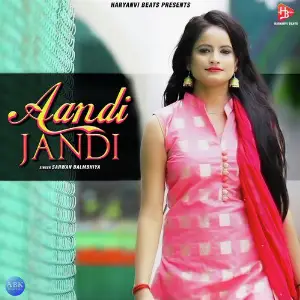 Aandi Jandi - Single image