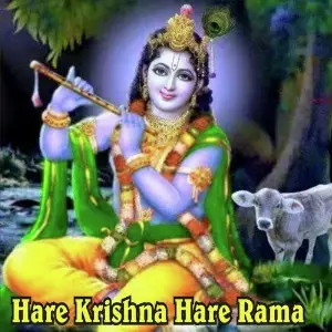 Hare Krishna Hare Rama image