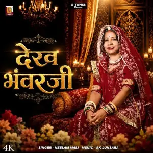 Dekh Bhanwar Ji image