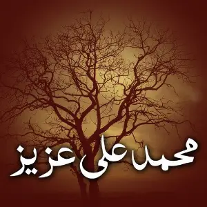 Mohammad Ali Aziz image