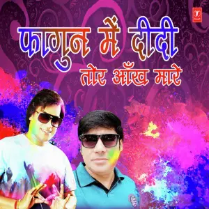 Phagun Mein Didi Tor Aankh Maare image