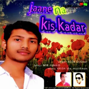 Jaane Na Kis Kadar image
