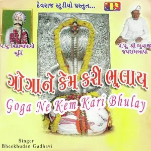 Goga Ne Kem Kari Bhulay image