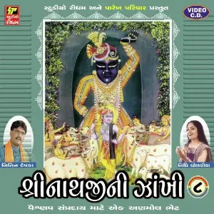 Shrinathji Ni Zankhi Part-8 image