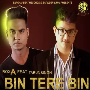 Bin Tere Bin image