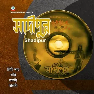 Shadipur image