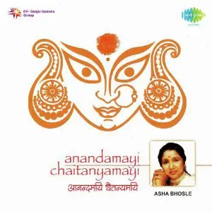 Anandmayi Chaitanyamayi image