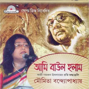 Aami Boul Holam image