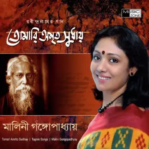Tomari Amrito Sudhay image
