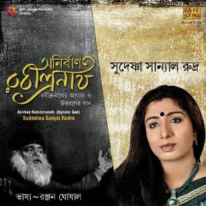 Anirban Rabindranath - Aghater Gan image