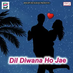 Dil Diwana Ho Jae image