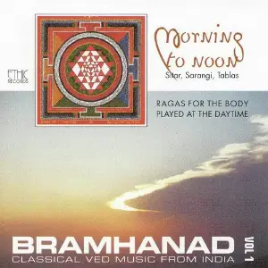 Bramhanad Vol.1 image