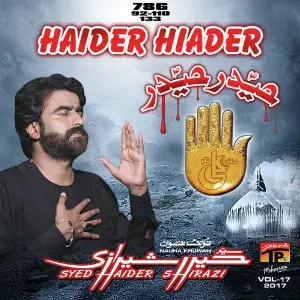 Haider Hiader, Vol. 17 image