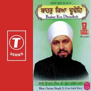 Baahar Kya Dhundheh (Vol. 13) image