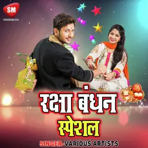 Raksha Bandhan Special Song(2019) image