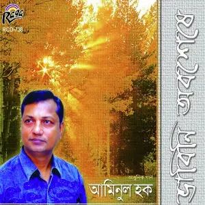 Bhabini Abasheshe image