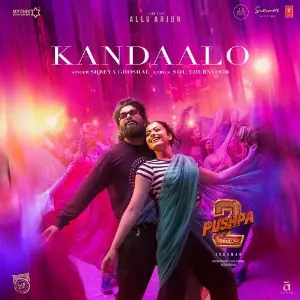 Kandaalo (From Pushpa 2 The Rule) image
