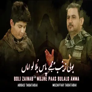 Boli Zainab s.a Mujhe Paas Bulalo Amma image
