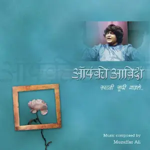 Aapki Abida image
