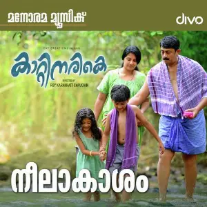 Kattinarike image